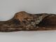 Toporek z poroża prehistorycznego jelenia znaleziony w Wiśle (GALERIA) Toporek z Wisły1