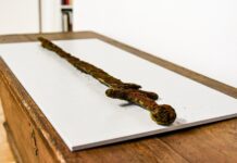 Miecz z XI wieku odkryty przypadkiem w rzece Warcie! (GALERIA) Średniowieczny miecz odkryty w rzece Warta fot. Muzeum Ziemi Wronieckiej