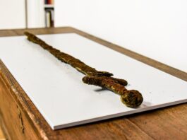 Miecz z XI wieku odkryty przypadkiem w rzece Warcie! (GALERIA) Średniowieczny miecz odkryty w rzece Warta fot. Muzeum Ziemi Wronieckiej