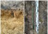 Odkrył miecz z epoki brązu, który może mieć nawet 2900 lat! (GALERIA) Miecz z epoki brązu fot. WUOZ w Gdańsku