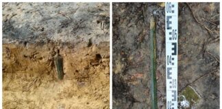 Odkrył miecz z epoki brązu, który może mieć nawet 2900 lat! (GALERIA) Miecz z epoki brązu fot. WUOZ w Gdańsku