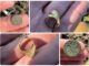 Unikatowa złota zausznica sprzed 4000 lat i inne! (GALERIA) Złota zausznica i inne zabytki