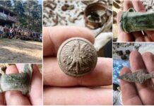 „Bitwa pod Cedynią” – poszukiwacze przeszukali teren (GALERIA) Zlot Stowarzyszenia Templum Kocioł Tajemnic
