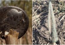 Archeologiczne perełki w okolicach wsi Miejsce (GALERIA) znaleziska z Miejsca