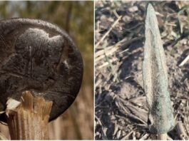 Archeologiczne perełki w okolicach wsi Miejsce (GALERIA) znaleziska z Miejsca
