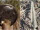 Archeologiczne perełki w okolicach wsi Miejsce (GALERIA) znaleziska z Miejsca