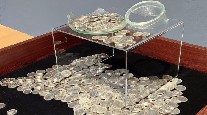 Ponad 500 srebrnych monet odkrytych podczas badań archeologicznych Skarb srebrnych marek odkryty we Włocławku fot. Muzeum Ziemi Kujawskiej i Dobrzyńskiej