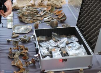 Niesamowity skarb odkryty we Włocławku! W skład wchodzą m.in. złoto, srebro, biżuteria i pieniądze (GALERIA)