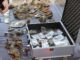 Niesamowity skarb odkryty we Włocławku! W skład wchodzą m.in. złoto, srebro, biżuteria i pieniądze (GALERIA)